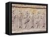 Persepolis, Unesco World Heritage Site, Iran, Middle East-Sergio Pitamitz-Framed Stretched Canvas