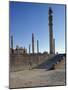 Persepolis, UNESCO World Heritage Site, Iran, Middle East-Harding Robert-Mounted Photographic Print