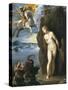 Perseus and Andromeda-D'Arpino Cavaliere-Stretched Canvas