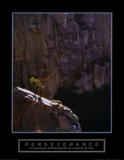 Perseverance: Lone Pinyon Tree-null-Stretched Canvas