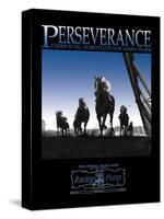 Perseverance-null-Stretched Canvas