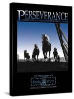 Perseverance-null-Stretched Canvas