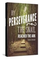 Perseverance-Bruce Nawrocke-Stretched Canvas