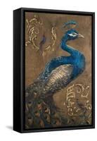 Pershing Peacock I-Tiffany Hakimipour-Framed Stretched Canvas
