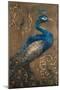 Pershing Peacock I-Tiffany Hakimipour-Mounted Art Print