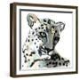 Persian, 2015-Mark Adlington-Framed Premium Giclee Print