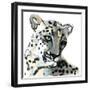 Persian, 2015-Mark Adlington-Framed Premium Giclee Print