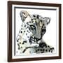 Persian, 2015-Mark Adlington-Framed Giclee Print