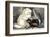 Persian Cat and Gold Fish-Ebby Hoyt-Framed Art Print