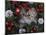 Persian Cat Brown Tabby Kitten Amongst Christmas Decorations, Texas, USA-Rolf Nussbaumer-Mounted Photographic Print