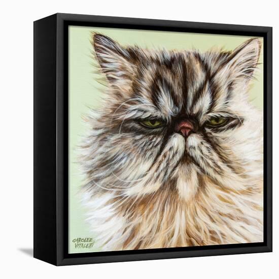 Persian Cat I-Carolee Vitaletti-Framed Stretched Canvas