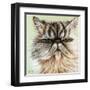 Persian Cat I-Carolee Vitaletti-Framed Art Print