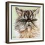 Persian Cat I-Carolee Vitaletti-Framed Art Print