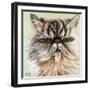 Persian Cat I-Carolee Vitaletti-Framed Art Print