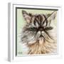 Persian Cat I-Carolee Vitaletti-Framed Art Print