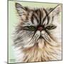 Persian Cat I-Carolee Vitaletti-Mounted Art Print