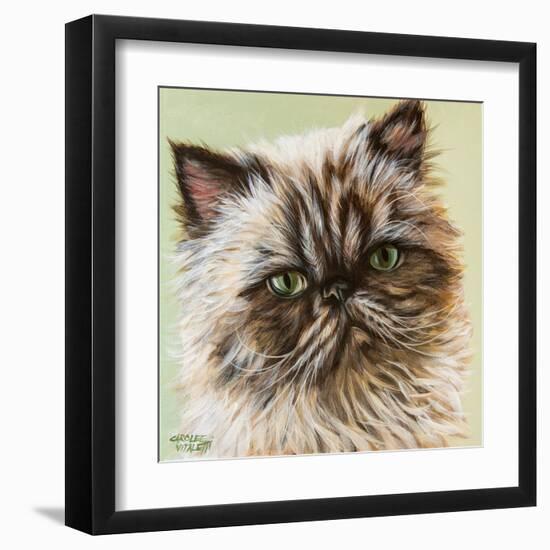 Persian Cat II-Carolee Vitaletti-Framed Art Print