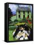 Persian Cat in Ireland (Chat Persan En Irland)-Isy Ochoa-Framed Stretched Canvas