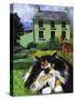 Persian Cat in Ireland (Chat Persan En Irland)-Isy Ochoa-Stretched Canvas