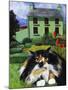 Persian Cat in Ireland (Chat Persan En Irland)-Isy Ochoa-Mounted Giclee Print