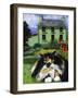 Persian Cat in Ireland (Chat Persan En Irland)-Isy Ochoa-Framed Giclee Print