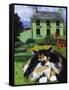 Persian Cat in Ireland (Chat Persan En Irland)-Isy Ochoa-Framed Stretched Canvas