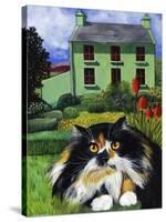 Persian Cat in Ireland (Chat Persan En Irland)-Isy Ochoa-Stretched Canvas