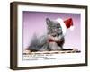 Persian Cat Santa Look in Basket in Christmas Hat and Tie-Andrey Zvoznikov-Framed Photographic Print