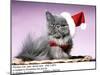 Persian Cat Santa Look in Basket in Christmas Hat and Tie-Andrey Zvoznikov-Mounted Photographic Print