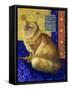 Persian Cat, Series I-Isy Ochoa-Framed Stretched Canvas