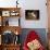 Persian Cat Watching Conure on Table, Poinsettias in Background, Carpentersville, Illinois, USA-Lynn M^ Stone-Photographic Print displayed on a wall