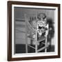 Persian Cat Wearing a Costume-null-Framed Photographic Print