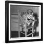 Persian Cat Wearing a Costume-null-Framed Photographic Print