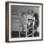 Persian Cat Wearing a Costume-null-Framed Photographic Print