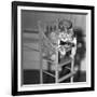 Persian Cat Wearing a Costume-null-Framed Photographic Print