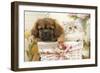 Persian Cat with Tibetan Spaniel Puppy in Basket-null-Framed Photographic Print