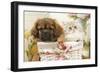 Persian Cat with Tibetan Spaniel Puppy in Basket-null-Framed Photographic Print