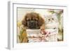 Persian Cat with Tibetan Spaniel Puppy in Basket-null-Framed Photographic Print