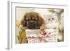 Persian Cat with Tibetan Spaniel Puppy in Basket-null-Framed Photographic Print