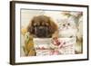 Persian Cat with Tibetan Spaniel Puppy in Basket-null-Framed Photographic Print