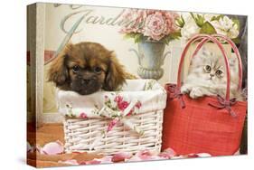 Persian Cat with Tibetan Spaniel Puppy in Baskets-null-Stretched Canvas