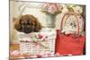 Persian Cat with Tibetan Spaniel Puppy in Baskets-null-Mounted Photographic Print