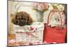 Persian Cat with Tibetan Spaniel Puppy in Baskets-null-Mounted Photographic Print