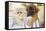 Persian Cat with Tibetan Spaniel Puppy-null-Framed Stretched Canvas
