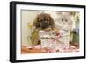 Persian Cat with Tibetan Terrier Puppy-null-Framed Photographic Print