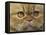 Persian Cat-null-Framed Stretched Canvas