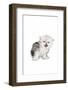 Persian Cat-Fabio Petroni-Framed Photographic Print