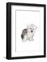 Persian Cat-Fabio Petroni-Framed Photographic Print