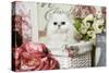 Persian Chinchilla Kitten-null-Stretched Canvas