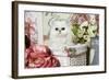 Persian Chinchilla Kitten-null-Framed Photographic Print